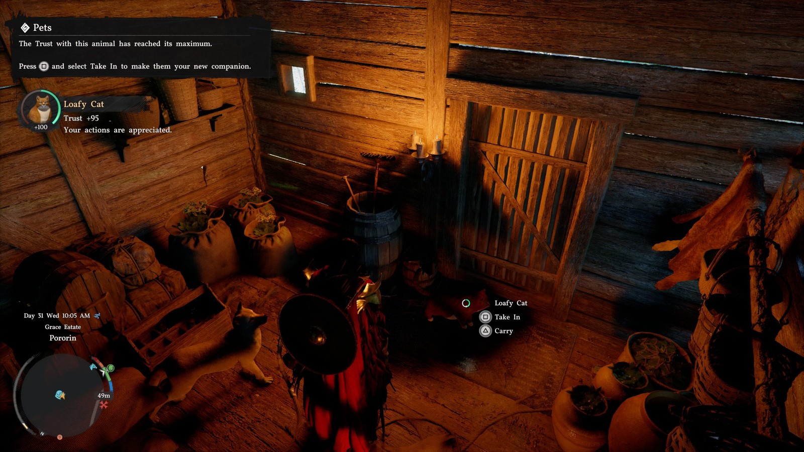 Bắt một con cá này, thuần hóa mèo trong Crimson Desert chỉ mất vài phút - Ảnh 3.