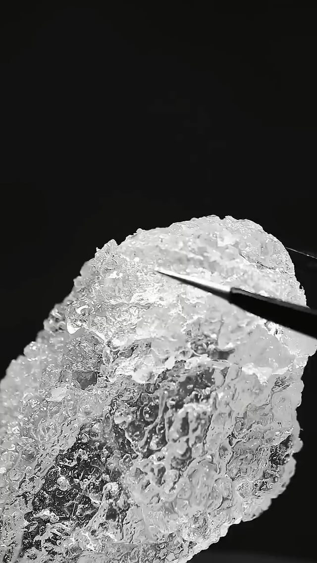 food-blogger-makes-translucent-f-1777794091880-17777940920091539170985-1