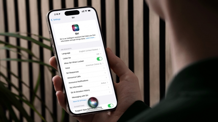 iphone-on-siri-settings-screen