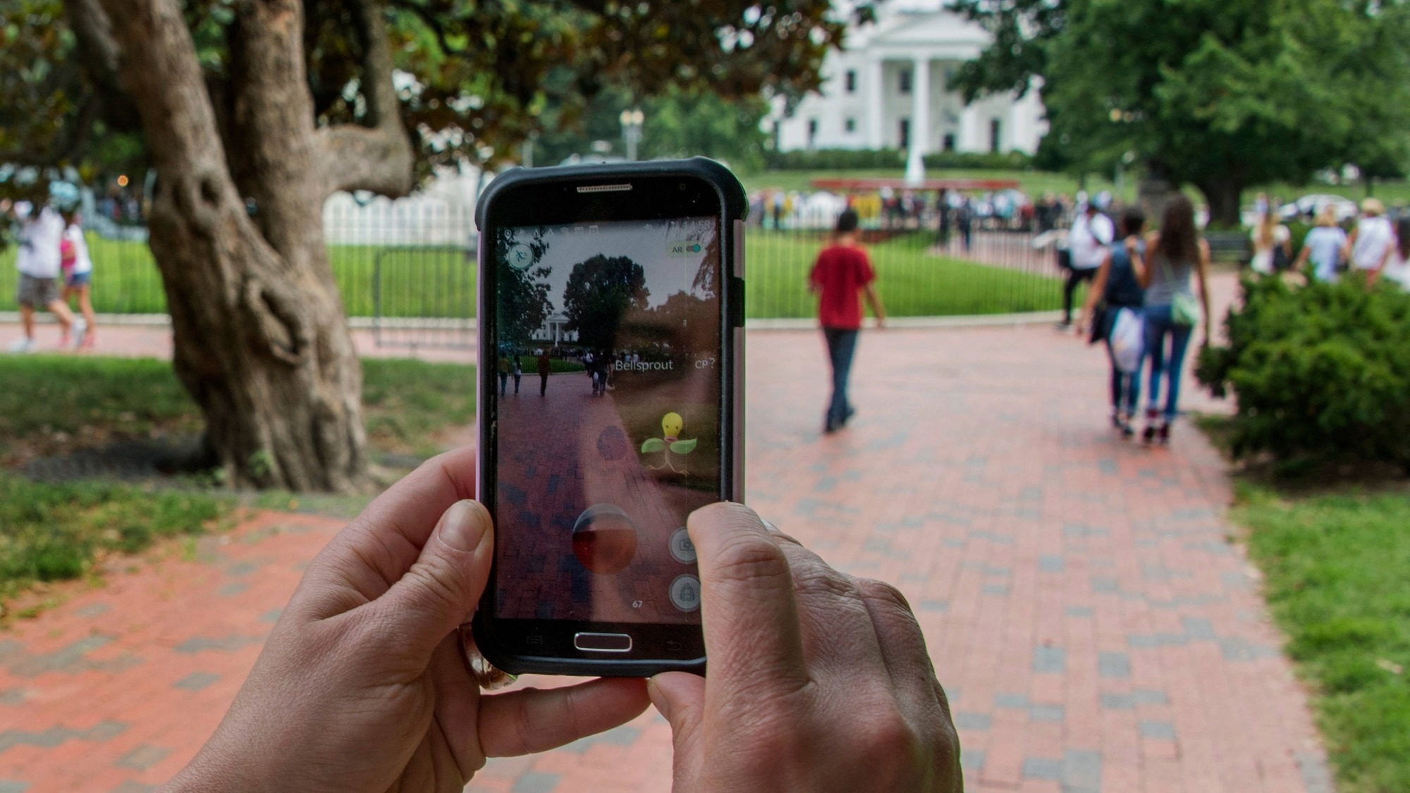 Chúng ta đã hiểu sai về Pokemon GO suốt 10 năm qua - Ảnh 1.