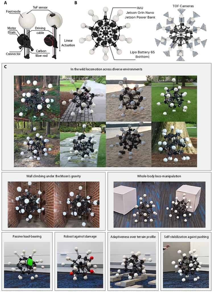 aec1725figurefig1seq1v1page-1780322407301-17803224078461719934161-1