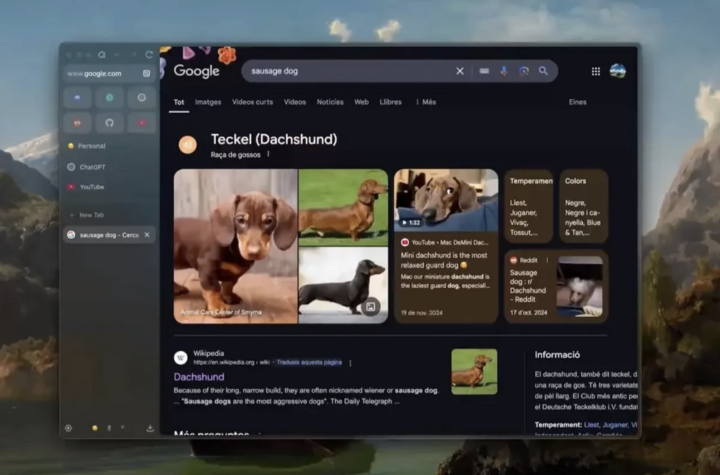6 trình duyệt miễn phí có thể thay thế Chrome và Safari- Ảnh 6. 6 trình duyệt miễn phí có thể thay thế Chrome và Safari- Ảnh 6.