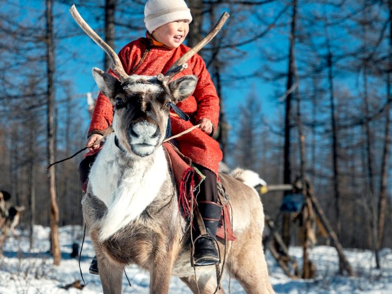 reindeer-kid-pose-800x600-1787199298689-1787199298837716895180