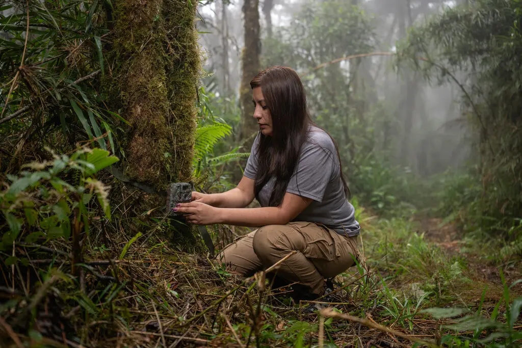 079605e2130f4cec7d0abdcde6e51f20e7a71267-1790136519657-179013652044316787690